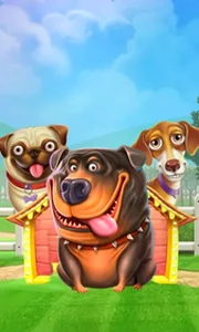 The Dog House